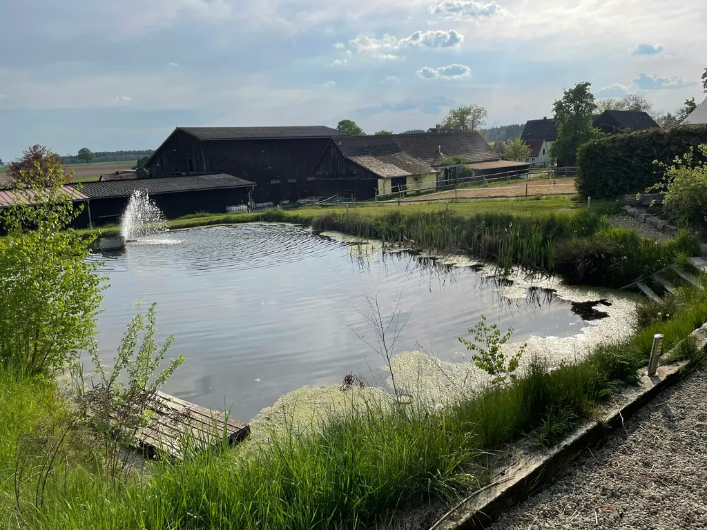 Natur pur mit wundervollem Ausblick