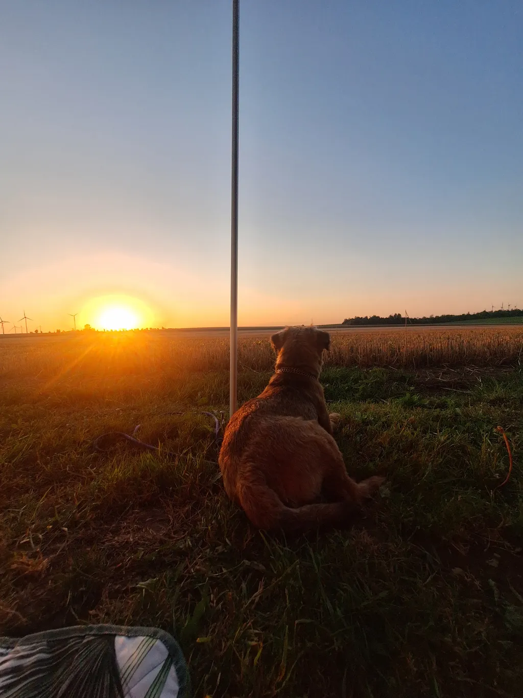 Bild von Sonja für den Spot 1537