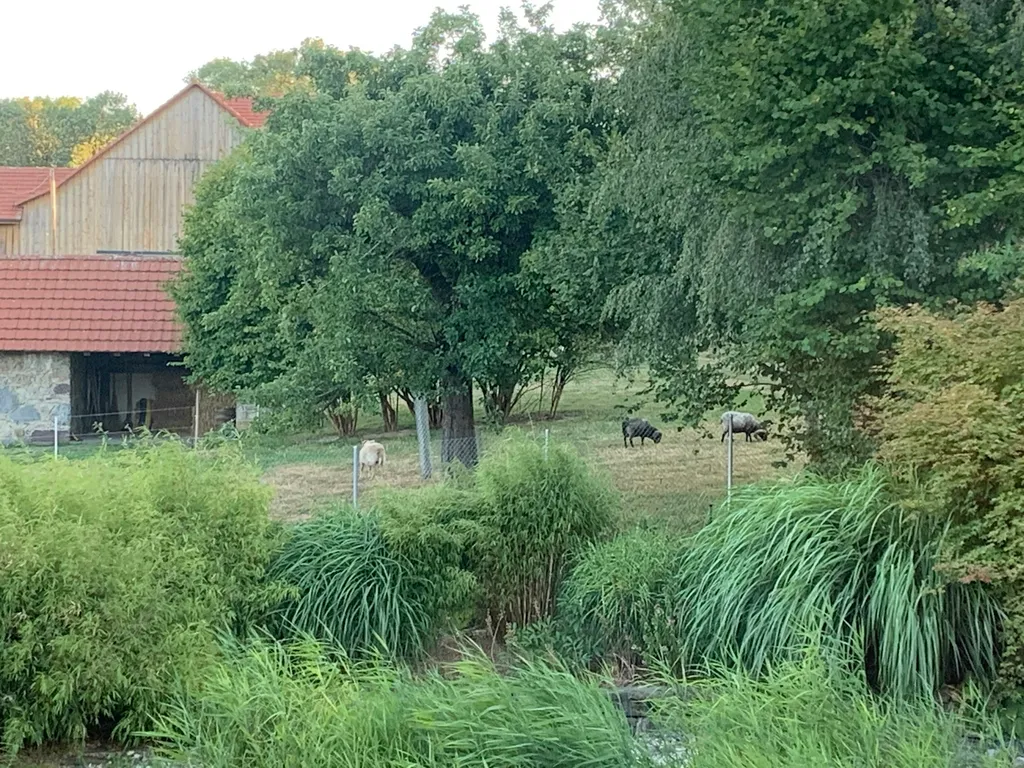 Un petit coin tout nature