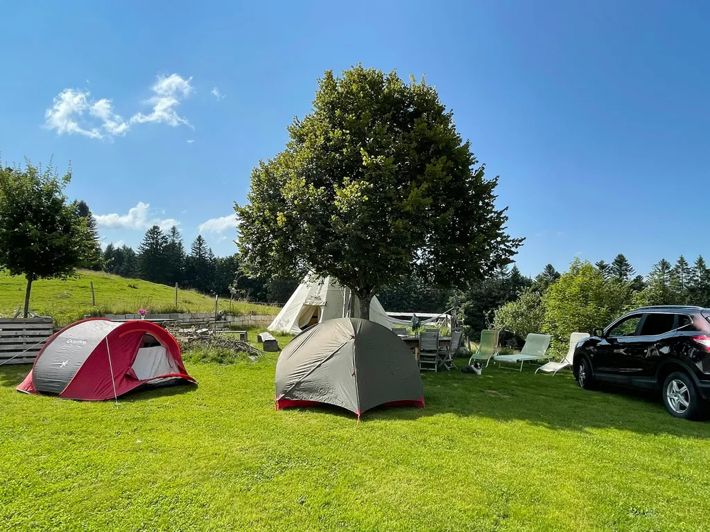 Camp Boinod