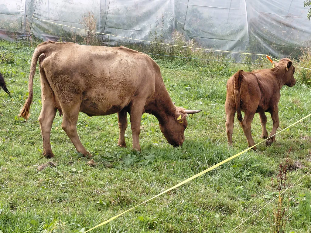 Bild von Felix für den Spot 256