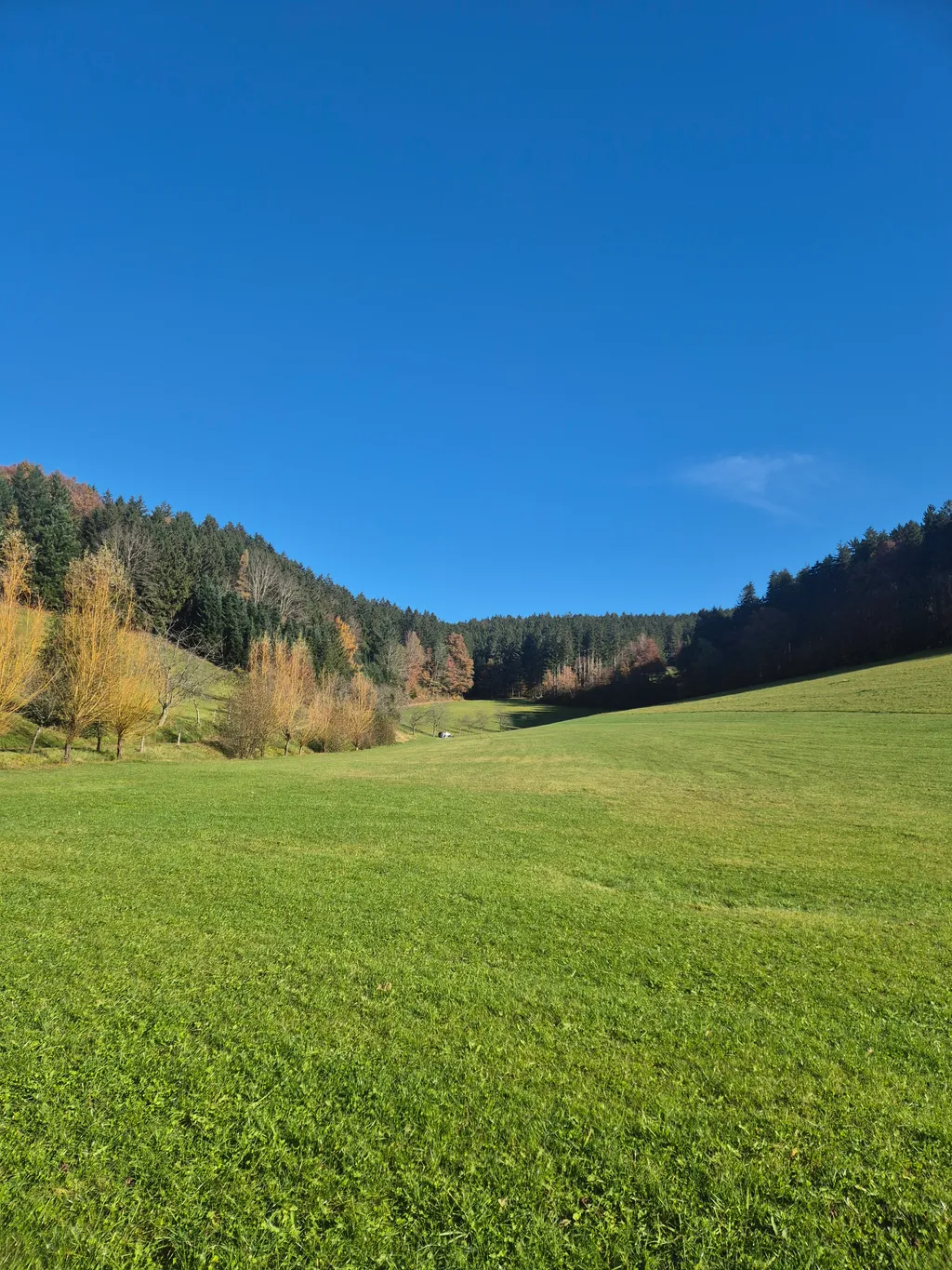 Bild von Christina für den Spot 1783