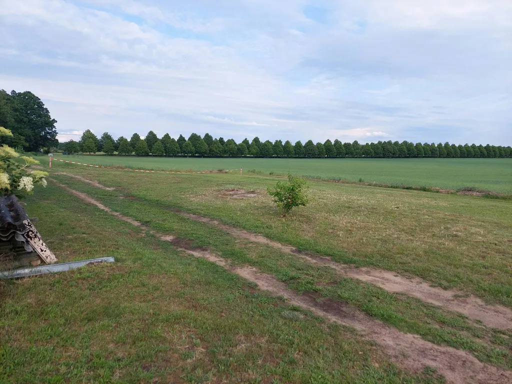 Natur Pur in Mecklenburg-Vorpommern