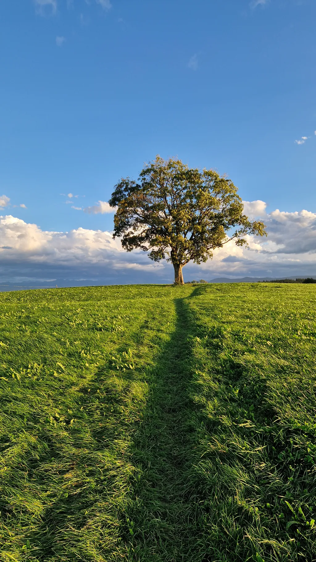 Bild von Saskia für den Spot 1646