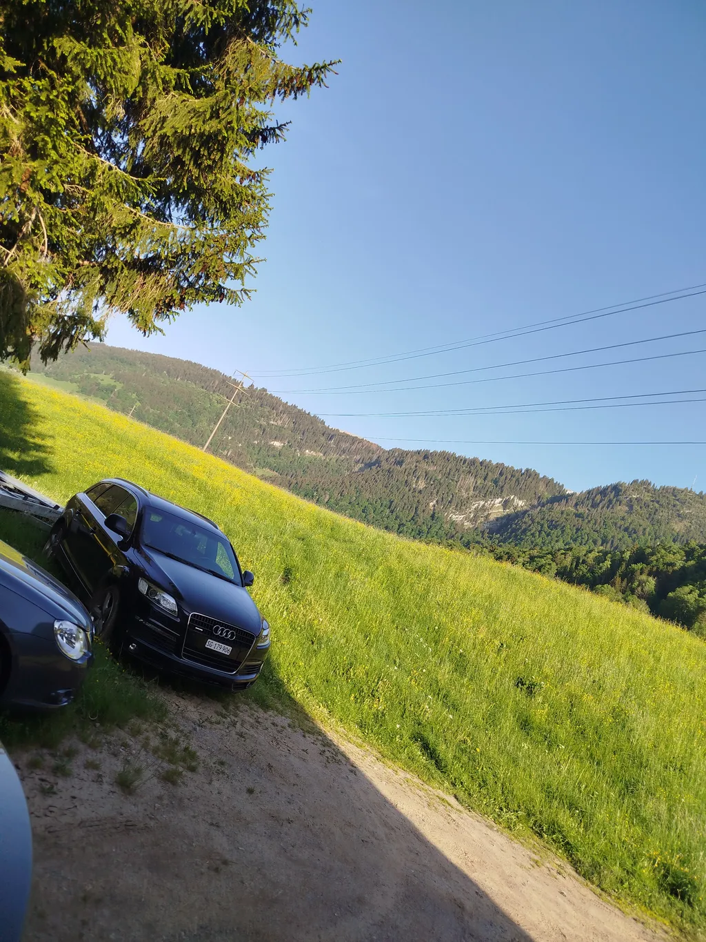 Ruhiger Platz in der Natur