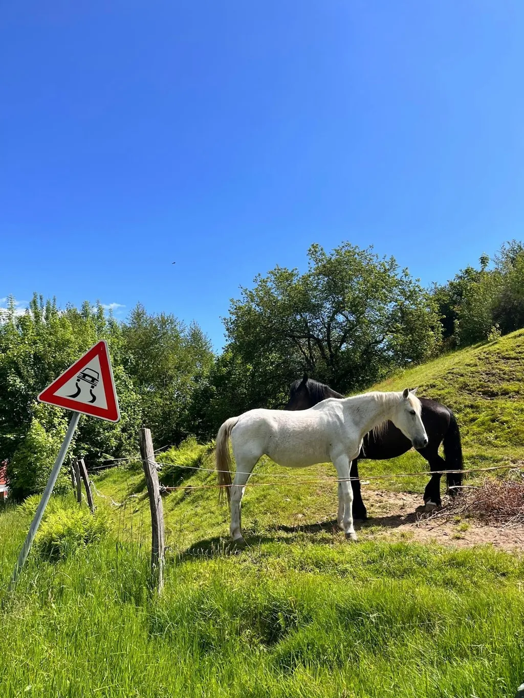 Painting lake view in the nature