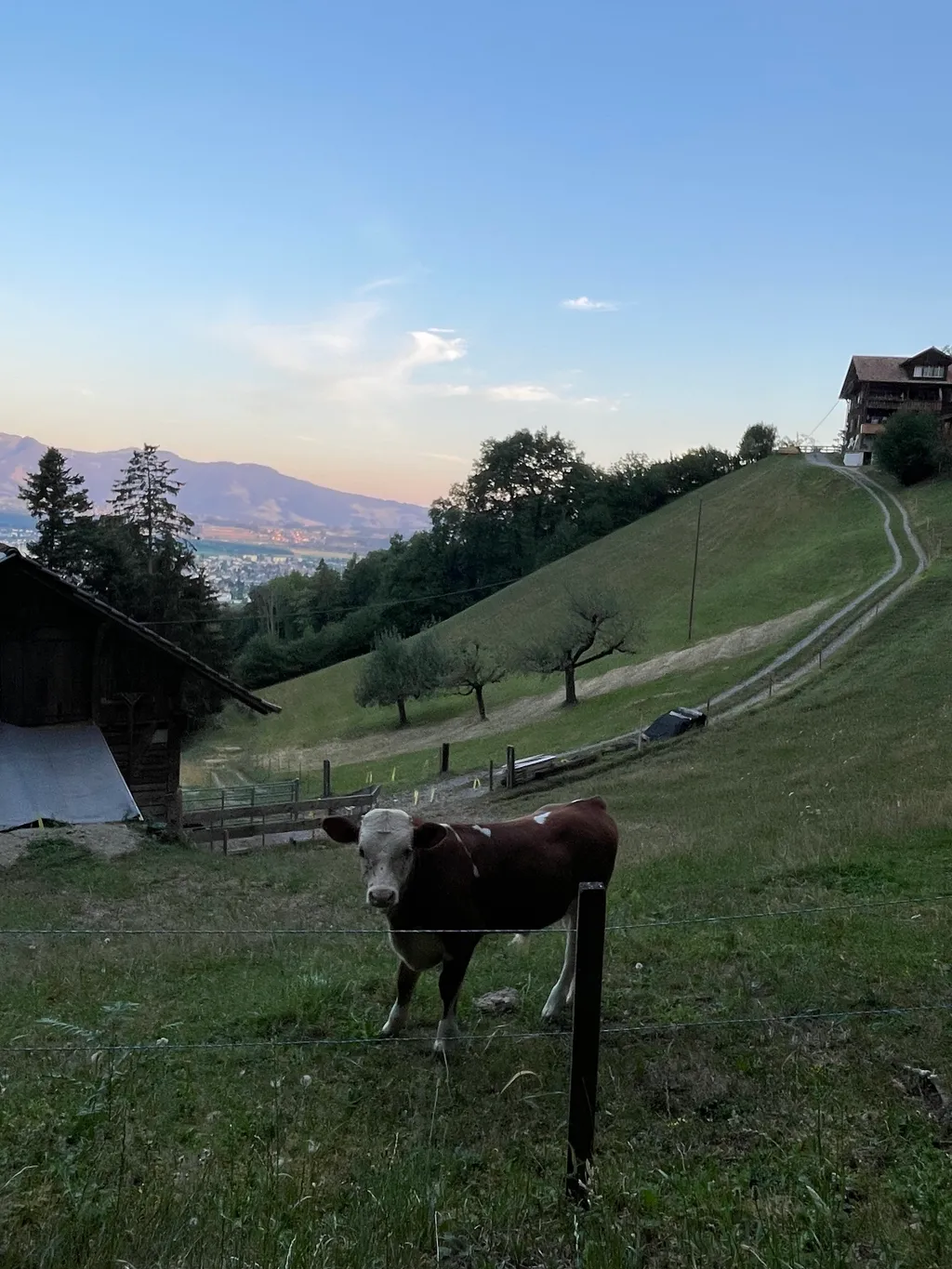 Bild von Charles für den Spot 218
