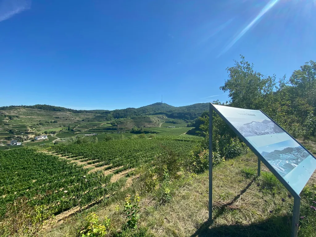 Parkplatz Rischbühl V.-Bickensohl