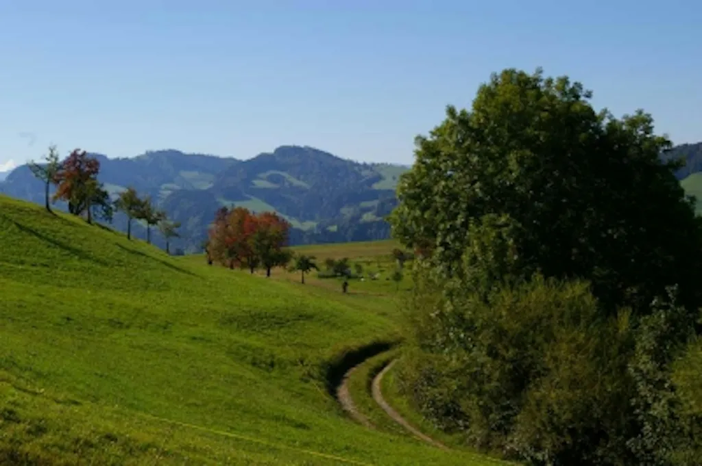 Campen auf dem Biohof