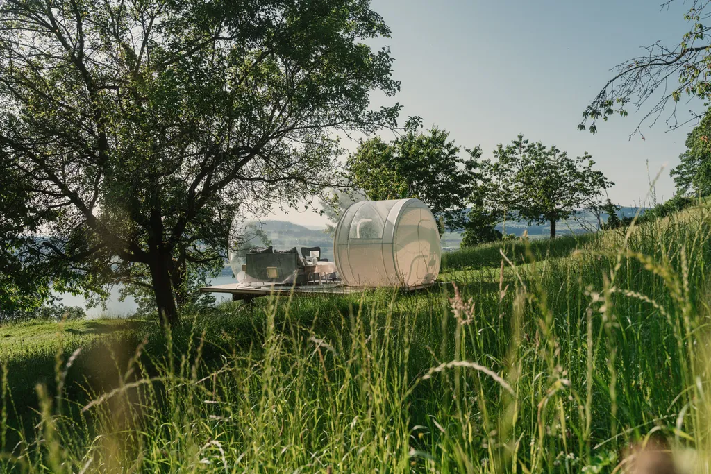 Bubble Tent - Hoch oben über Weggis