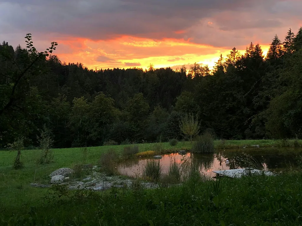 Übernachten im Bienenhaus