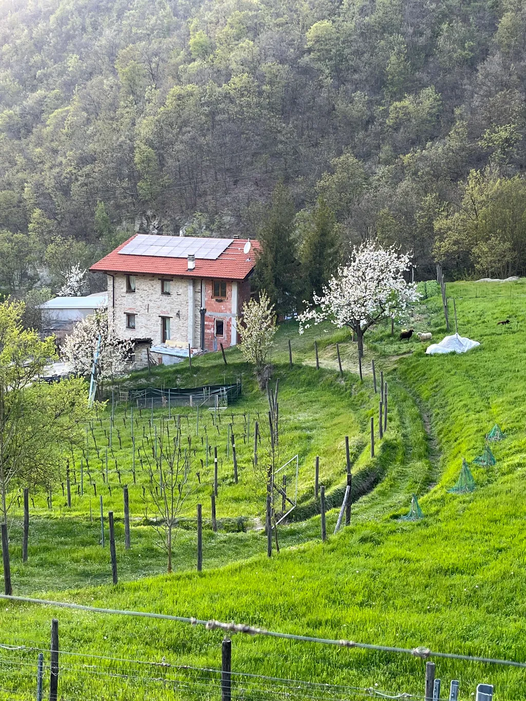 Il tesoro di MiRo