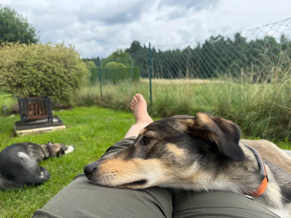 Bild von Sabrina für den Spot 1501