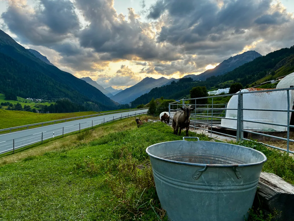 Bild von Irene für den Spot 101