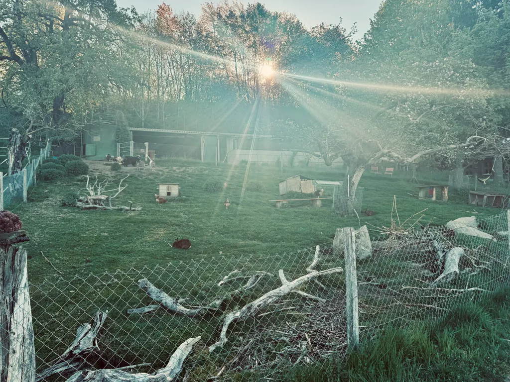 Image by Raphael for spot 106