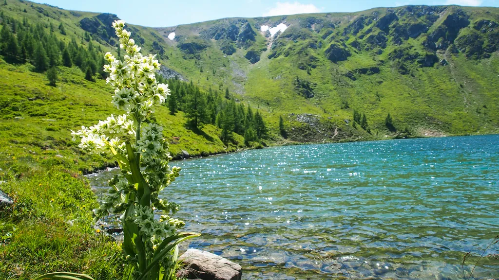 Almhütte auf 1.836m / Der Stille lauschen