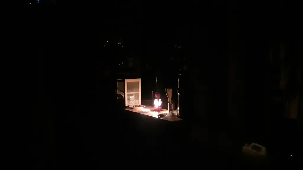 L'oliveraie Taurine et permaculture.