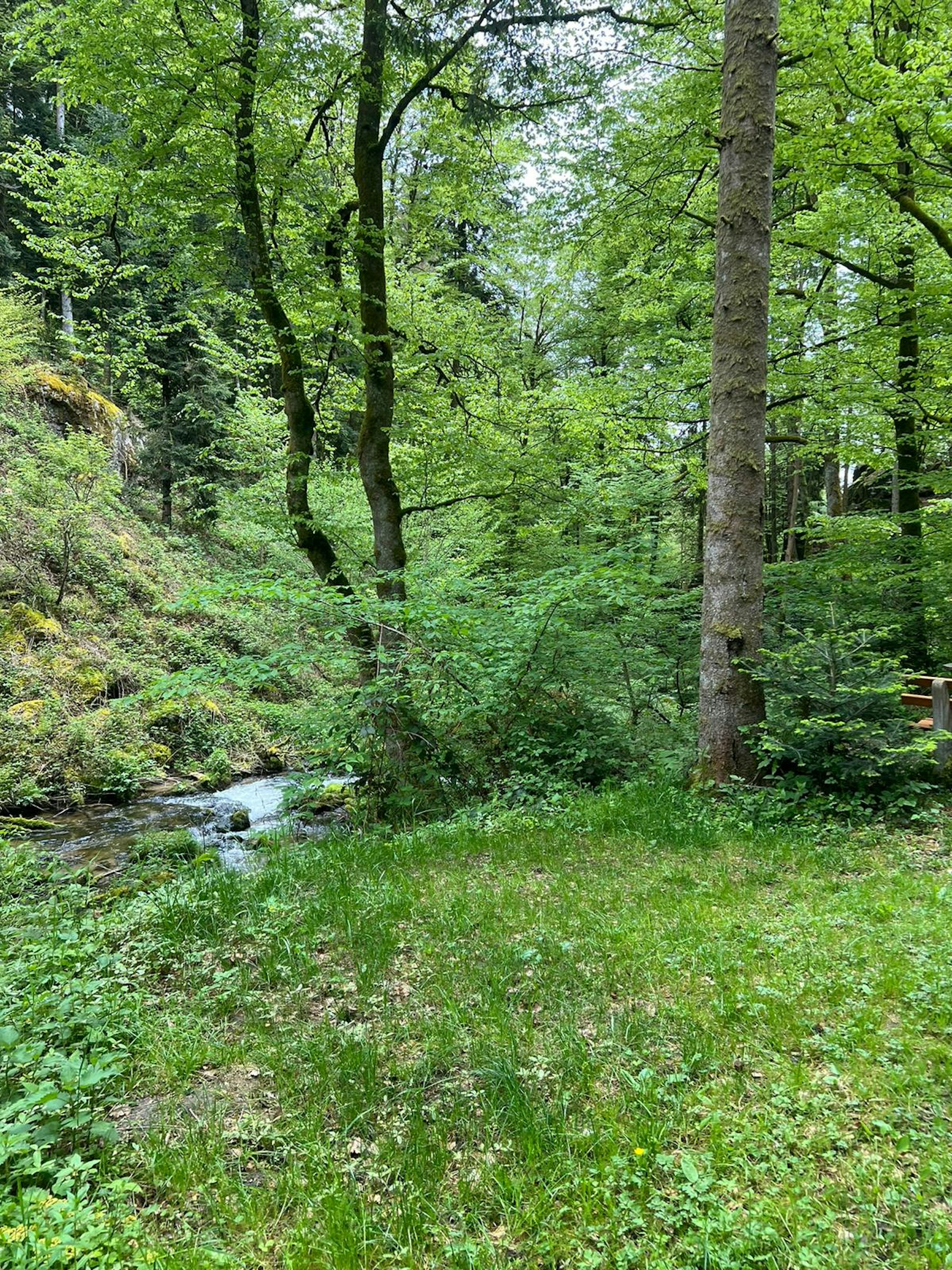 One-Night-Camp Höllbach