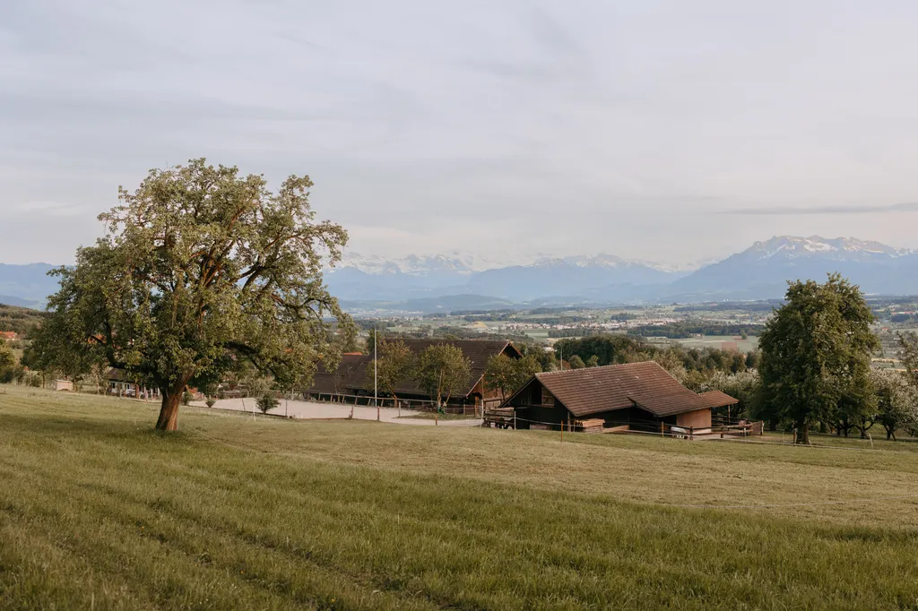 Pferdeweide Hof mit Aussicht