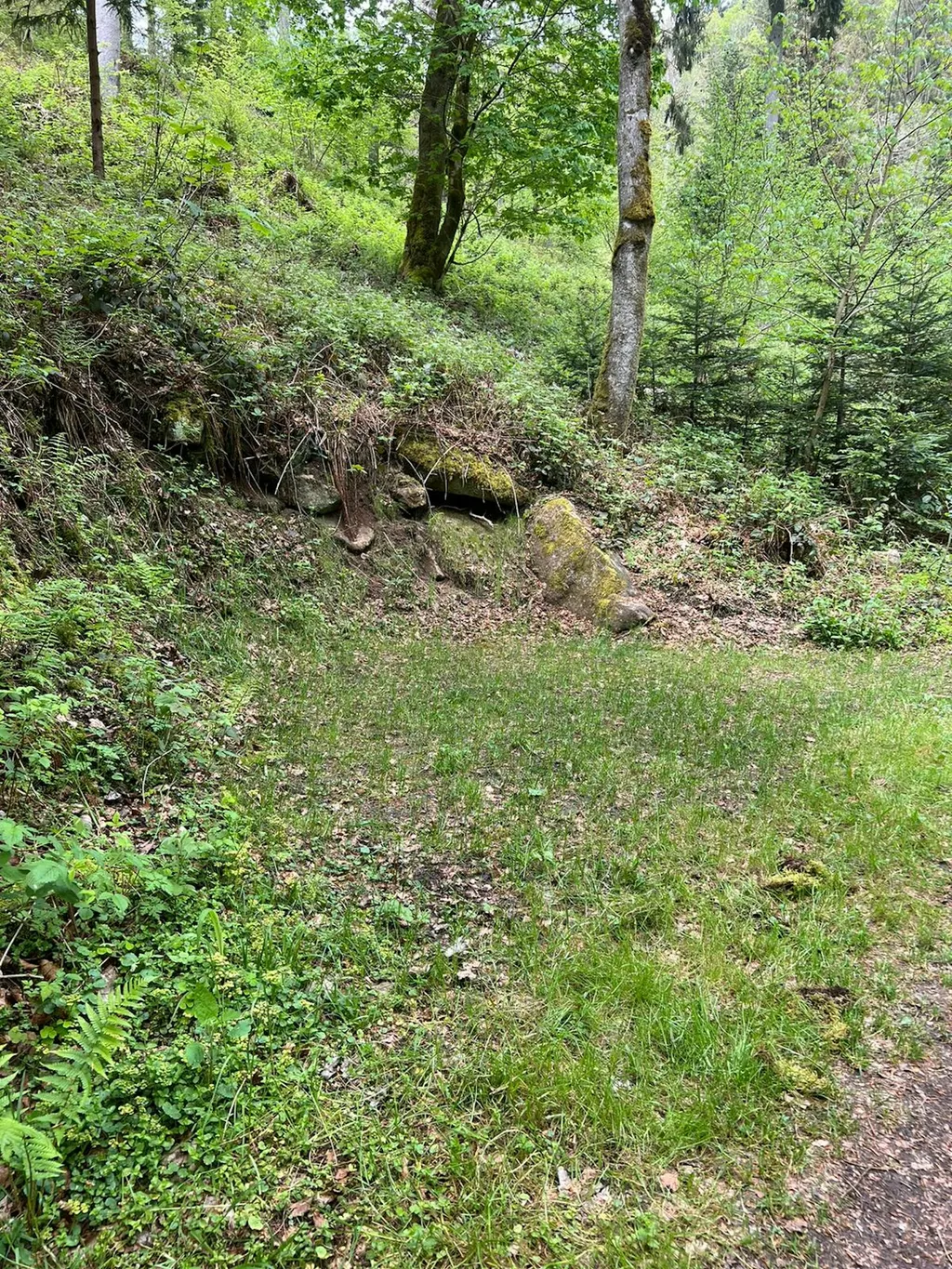 One-Night-Camp Höllbach