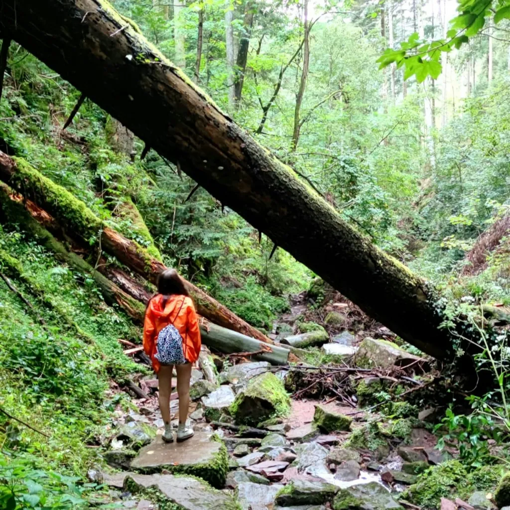 Profilbild von Leonie