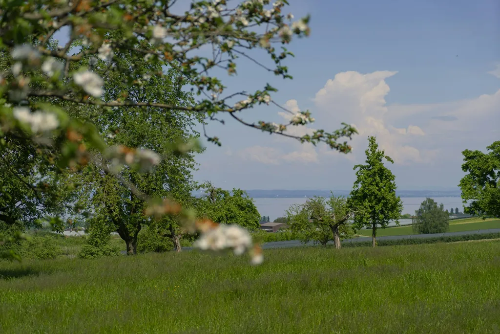 Bodenseeblick Winterlishof
