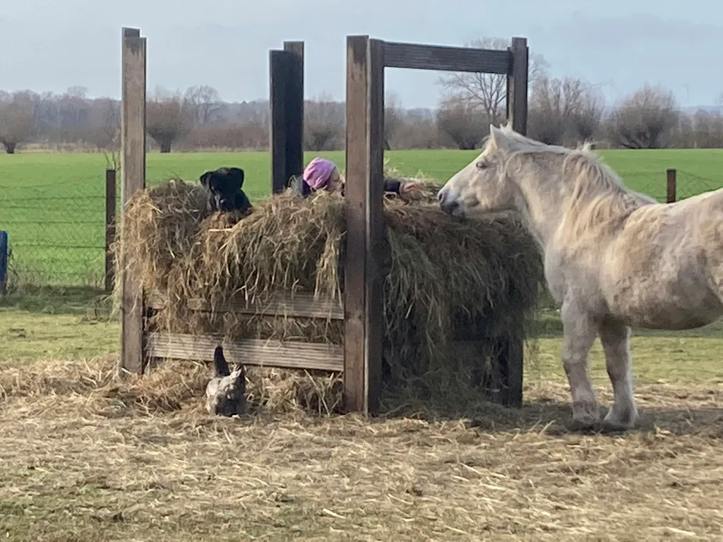 Ehemaliger Bauernhof Casabandow