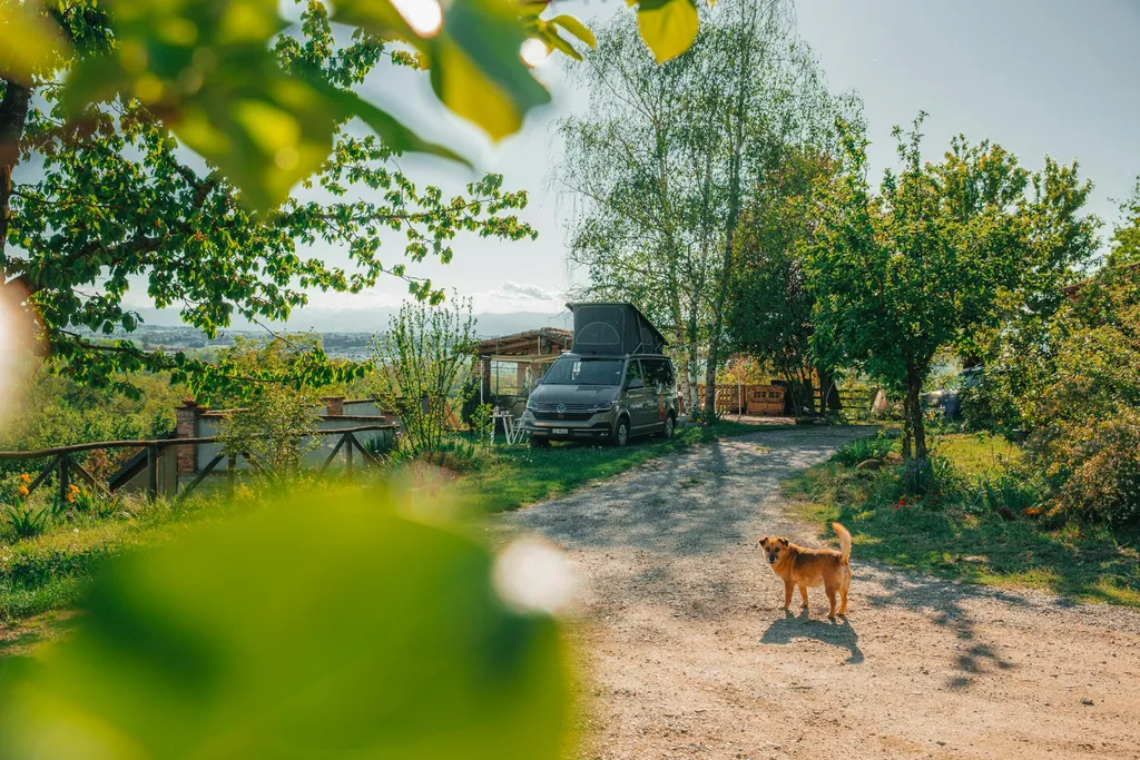 Camp L'Amaranto