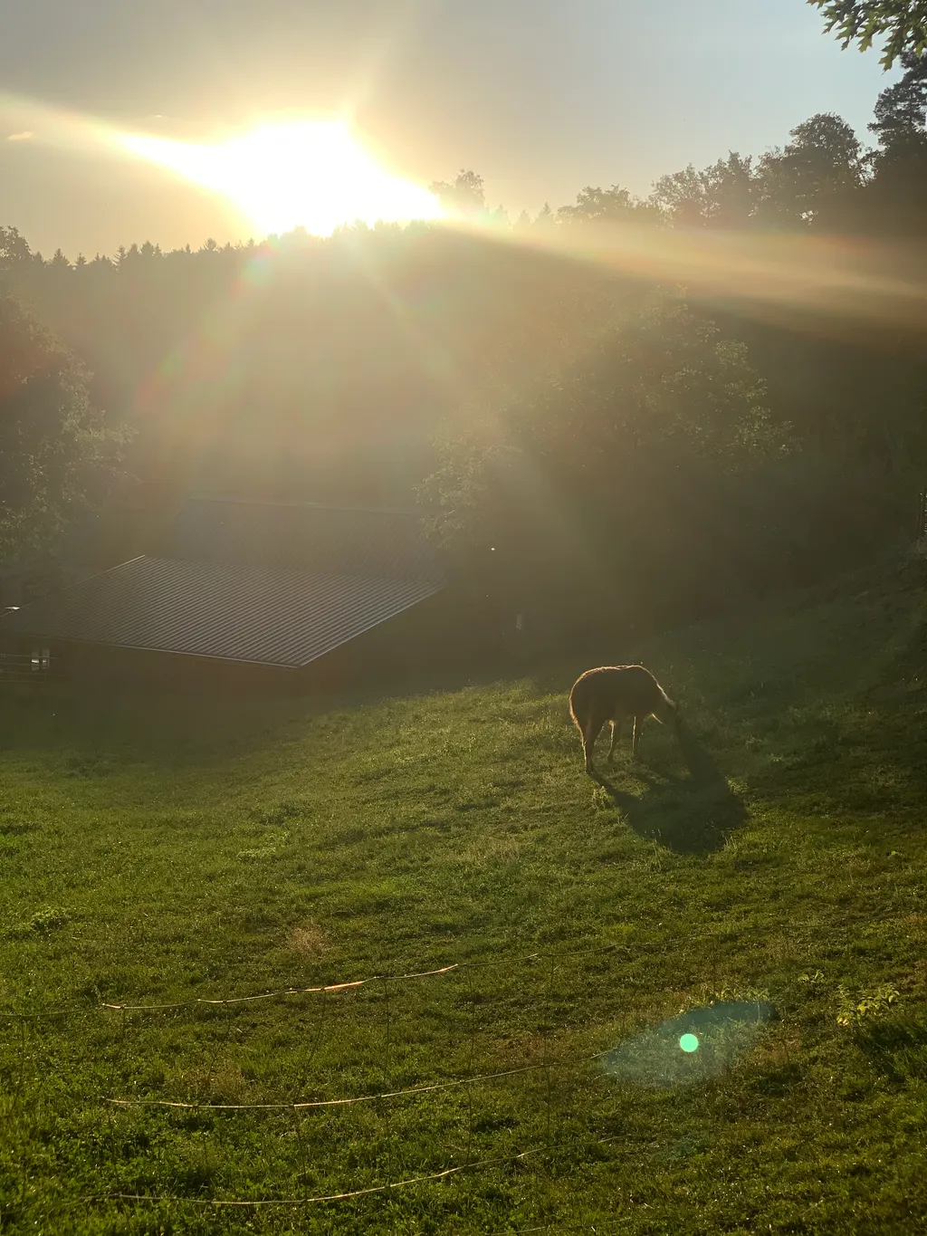 Bild von Salvatore für den Spot 215
