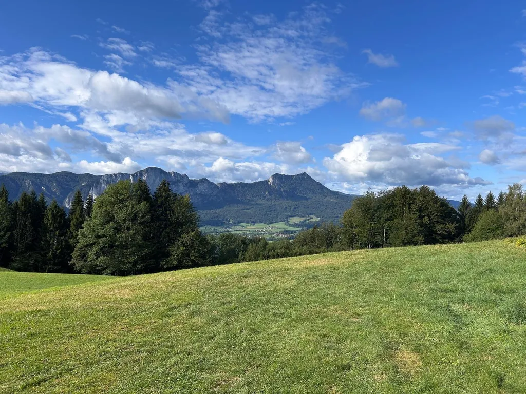 Bild von Rainer für den Spot 3357