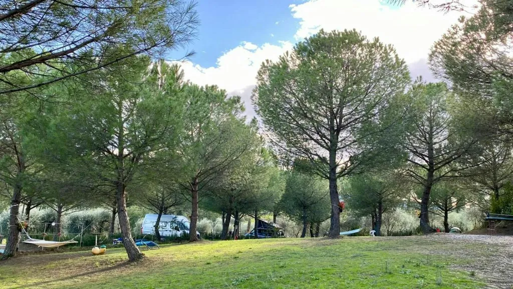 Wine Agricamping Poggio ai Pini