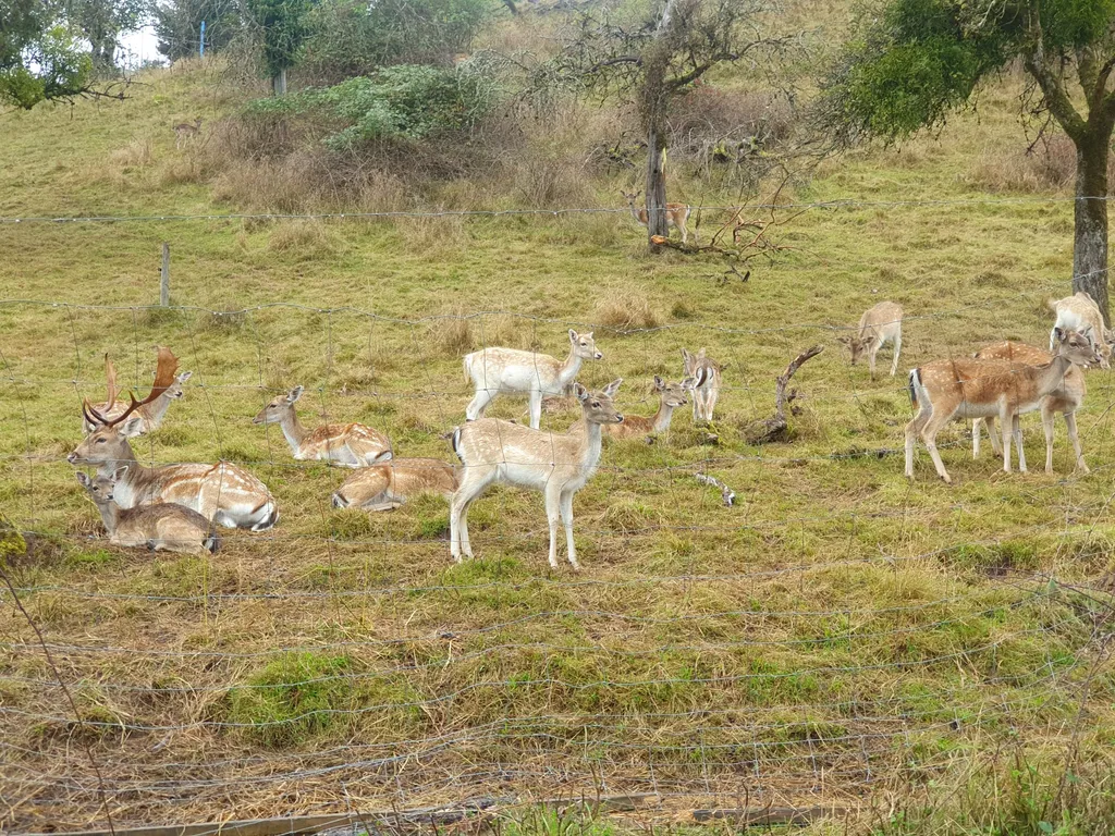 Bild von Sandy & Roli für den Spot 3689