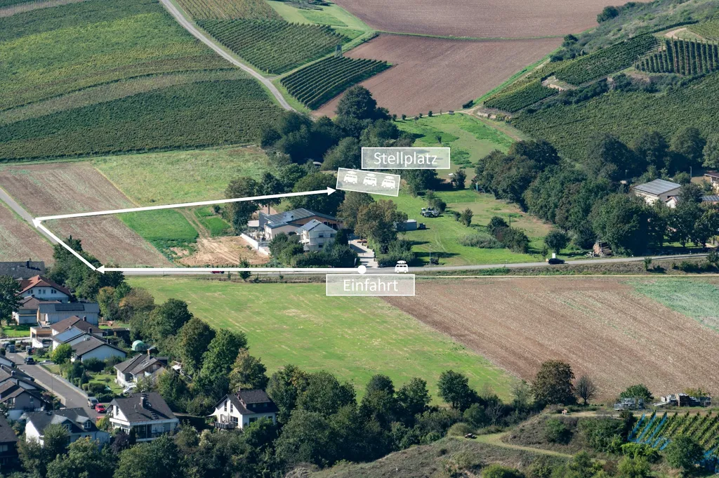 Wiese Weingut Traumblick Weinberge