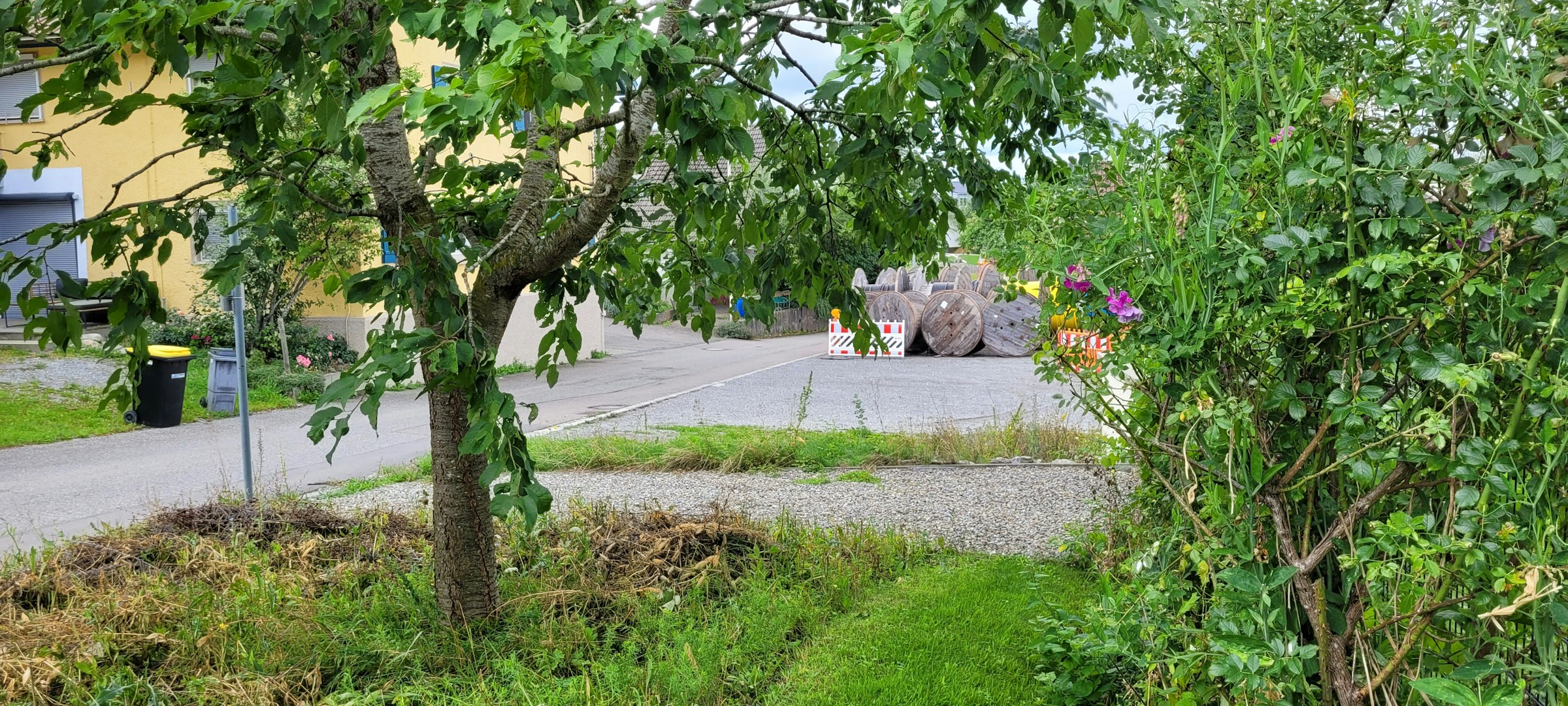 Stellplatz am Kirschbaum