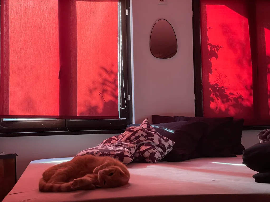 Gästezimmer im Weinkeller