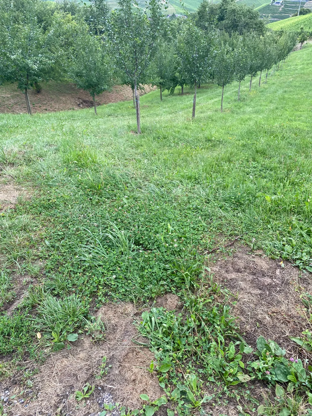 Bild von Gisela für den Spot 1586