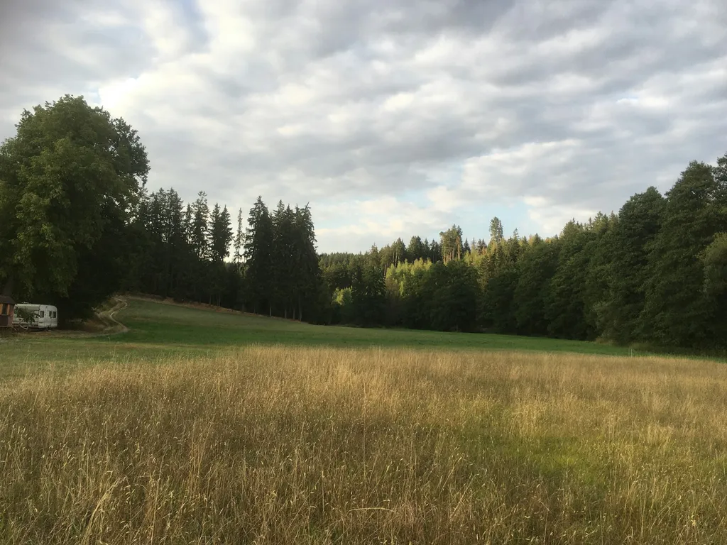 Bachtal im Frankenwald
