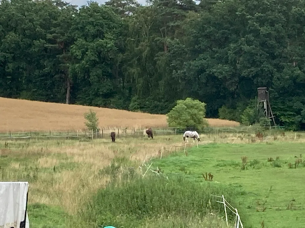 Erholung im Pferdeland