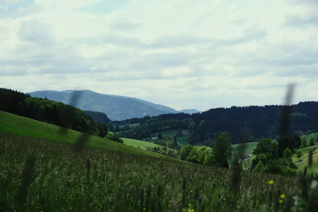 Grüne Oase - zentral gelegen.