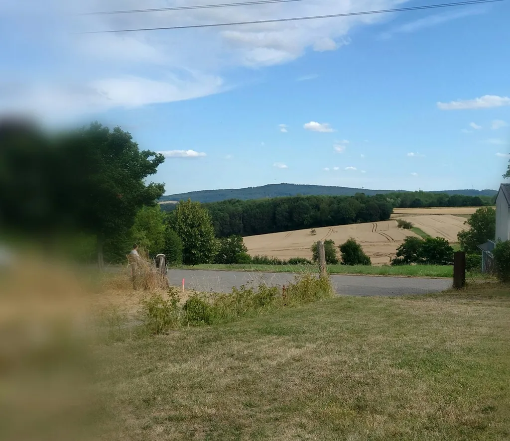 Wiese im Ort mit schönem Ausblick