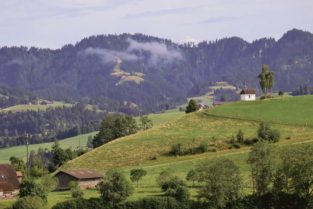 Mittler Gernet - Baumgarten