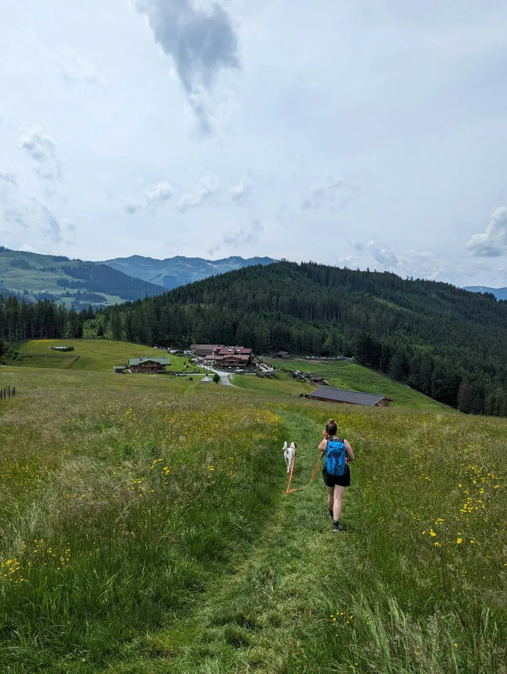 Profilbild von Johanna