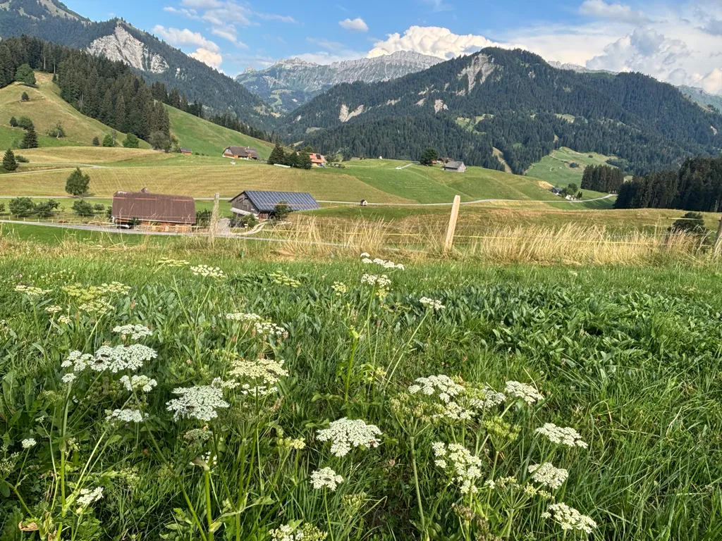 Bild von Mirjam für den Spot 265