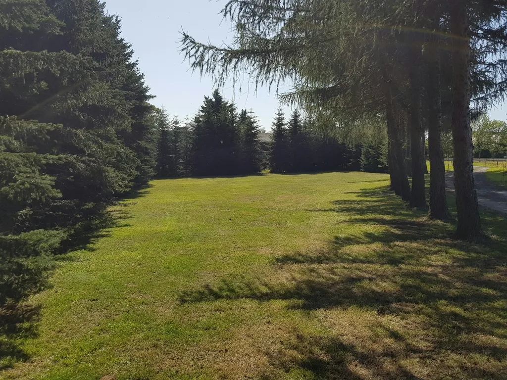 Wiese am Ortsrand
