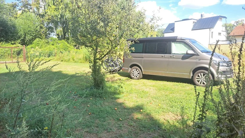 Natur pur in Wien, bei der Lobau