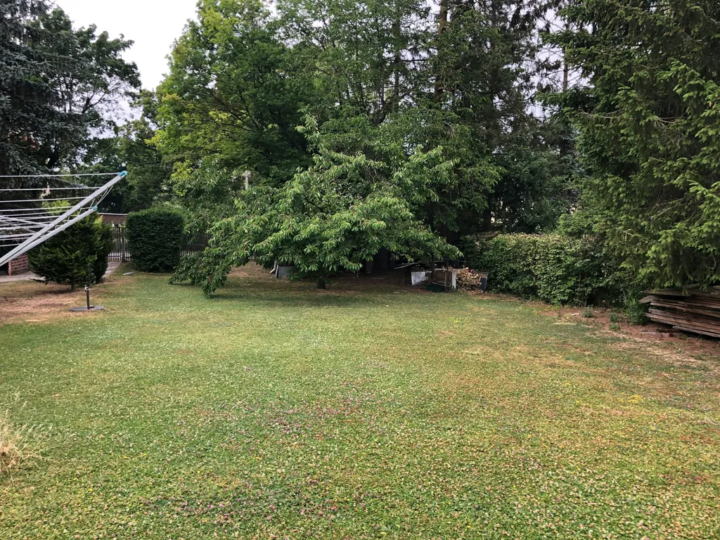 CaroGrün I Wohnen im Grünen