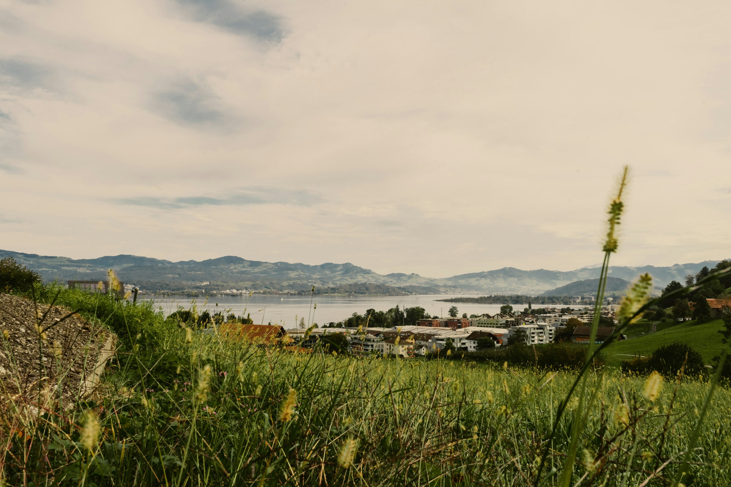 Beim Weingut Altendorf