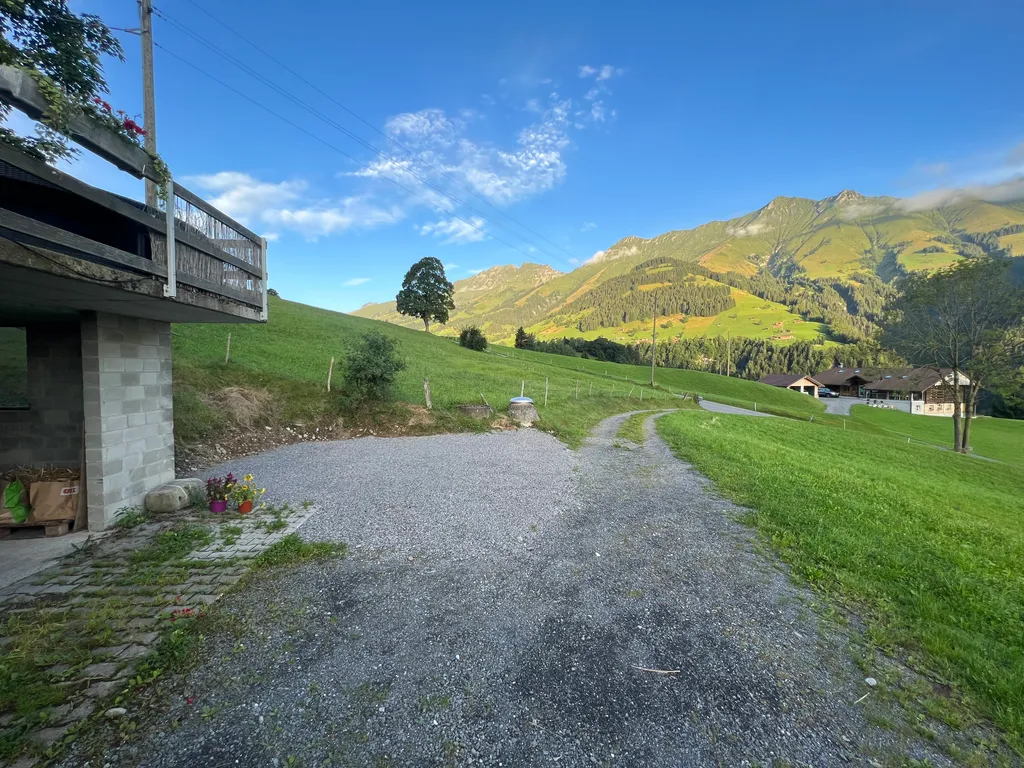 Swiss Mountain Experience