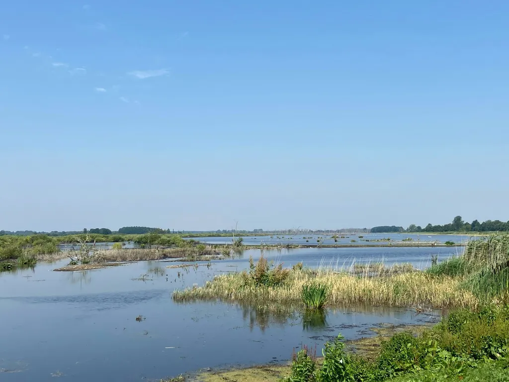 Kranichblick Galenbeckersee Camp