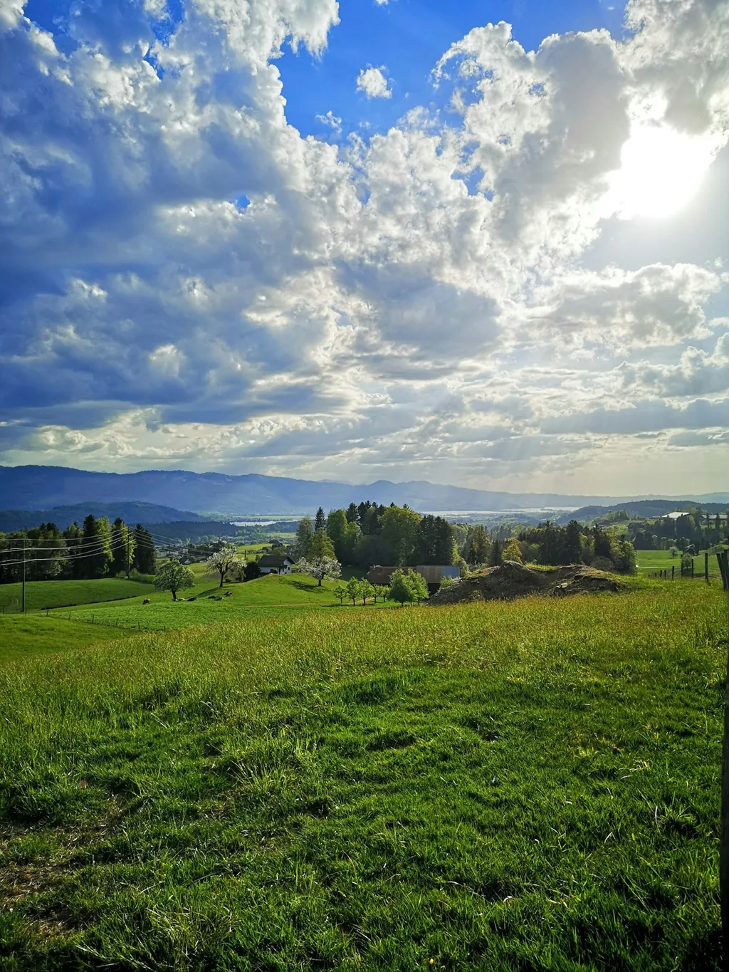 Ruhiger Stellplatz in Rüeterswil